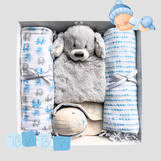 Sweet Baby Boy Gift Set --- ONLY 1 LEFT